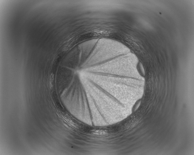 X0000067850649200605041716