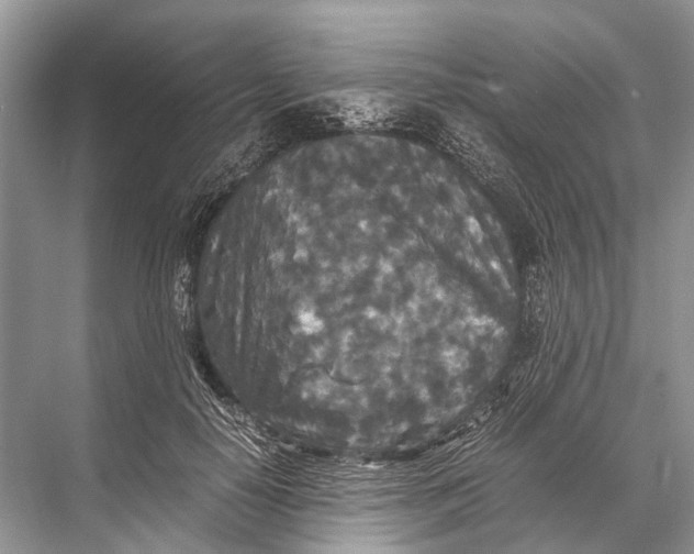 X0000067850650200605041716