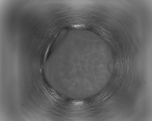 X0000067850651200605041716