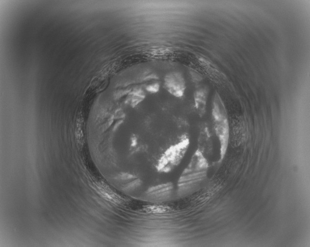 X0000067850654200605041716