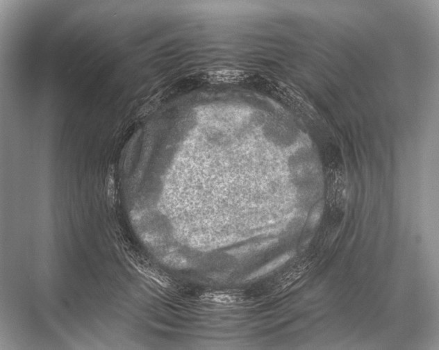 X0000067850655200605041716