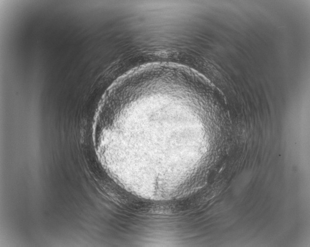 X0000067850656200605041716