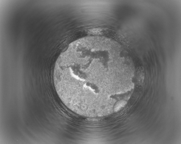 X0000067850658200605041717