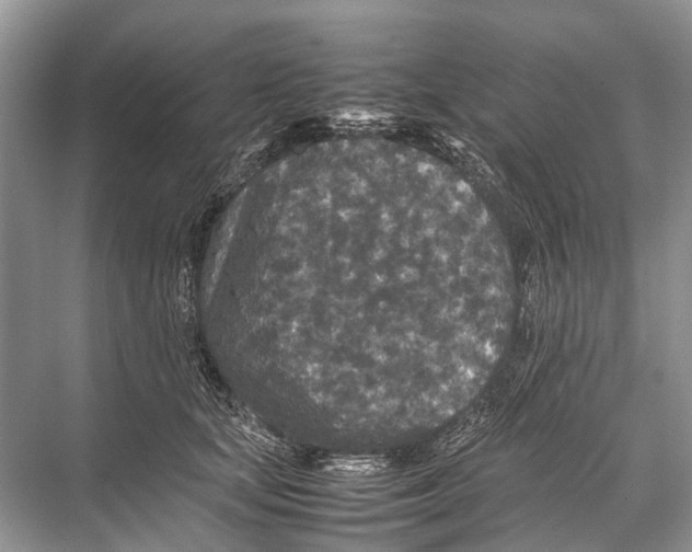 X0000067850659200605041717