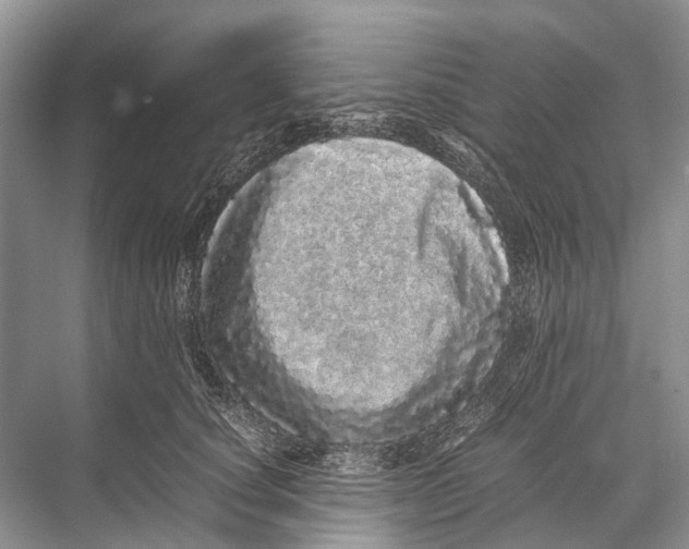 X0000067850660200605041717