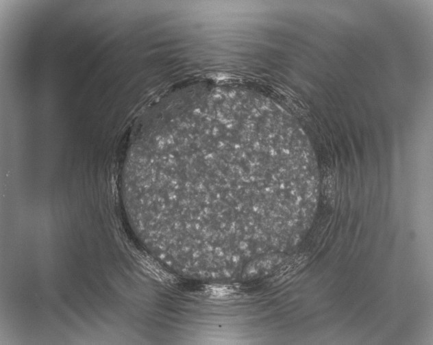 X0000067850662200605041717