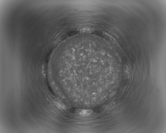 X0000067850663200605041717