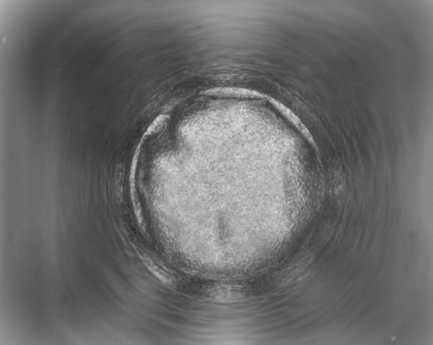 X0000067850664200605041717