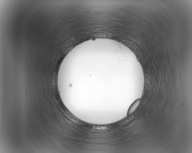 X0000067850665200605041717