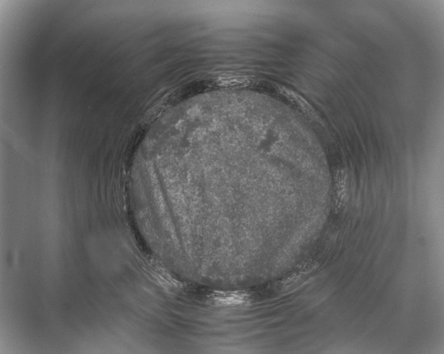 X0000067850667200605041717