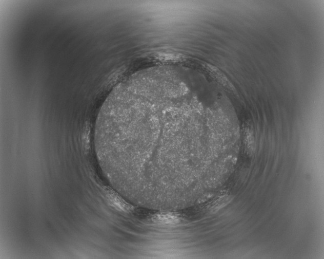 X0000067850668200605041717