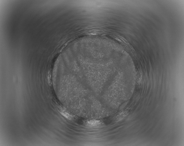 X0000067850669200605041717