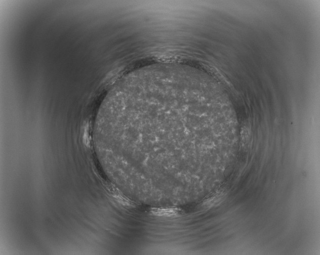 X0000067850671200605041717