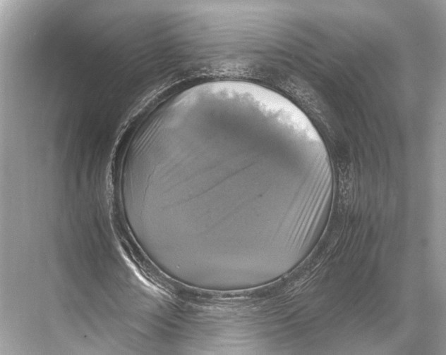 X0000067850674200605041716