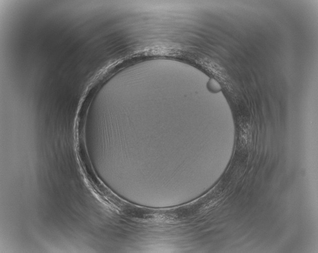 X0000067850678200605041716