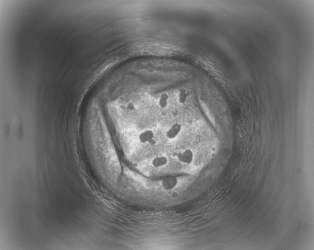 X0000067850679200605041716