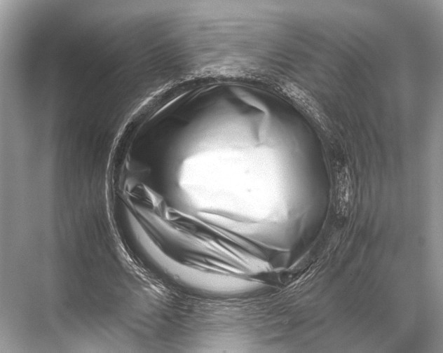 X0000067850680200605041716