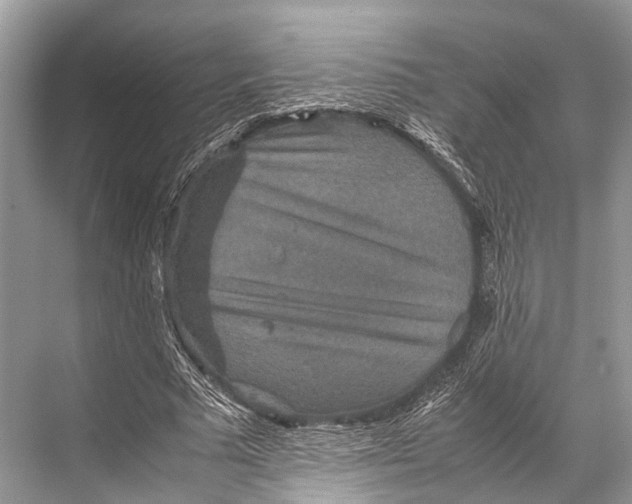 X0000067850681200605041716