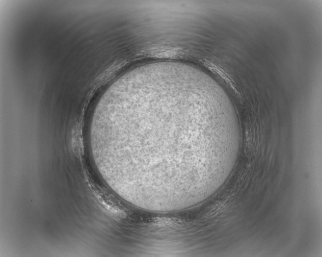 X0000067850682200605041716