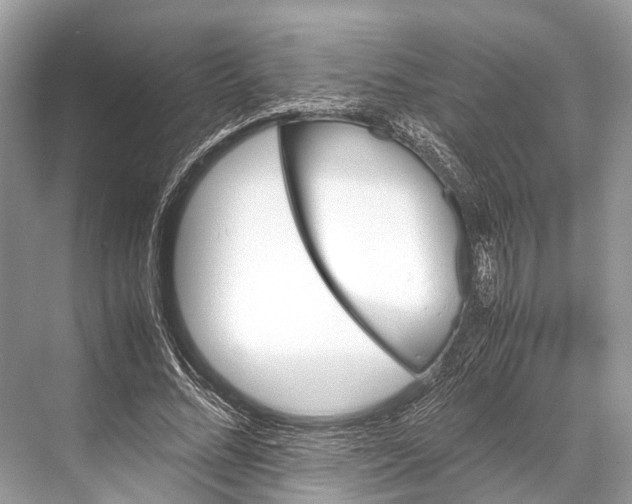 X0000067850684200605041716