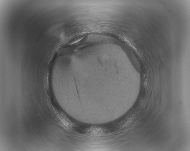 X0000067850685200605041716