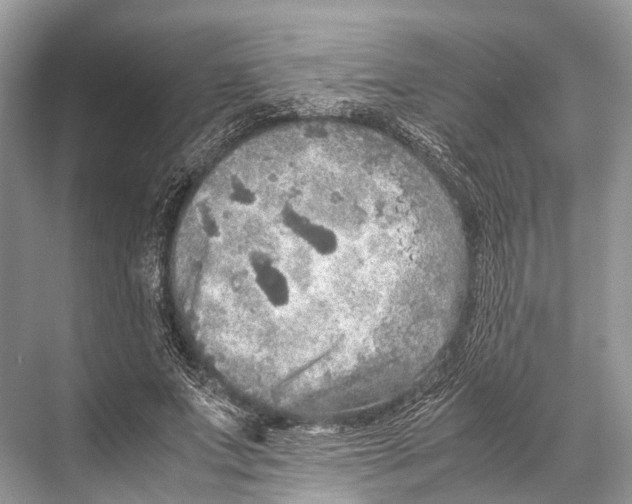 X0000067850687200605041716