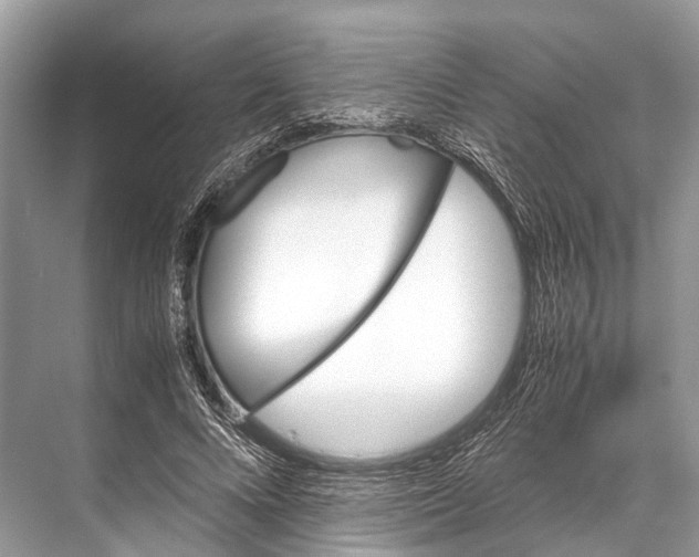 X0000067850688200605041716