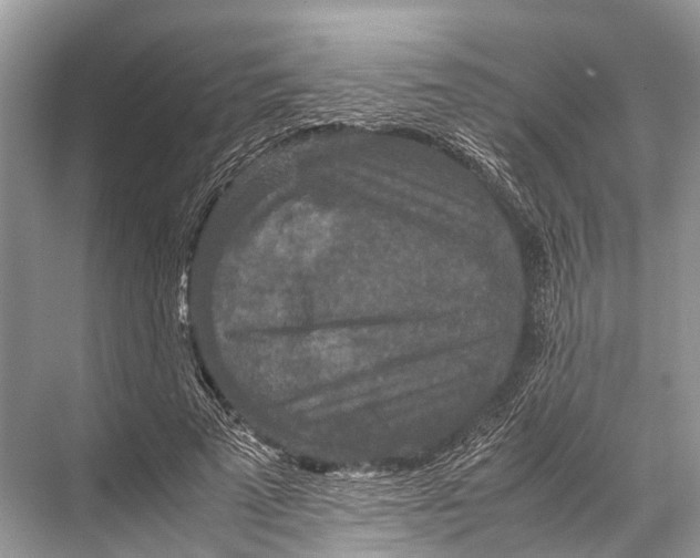 X0000067850689200605041716