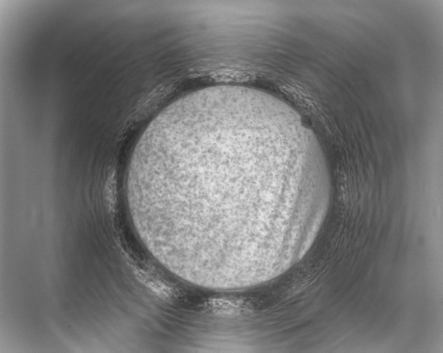 X0000067850690200605041716