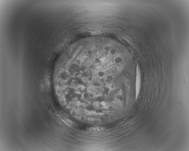 X0000067850691200605041716