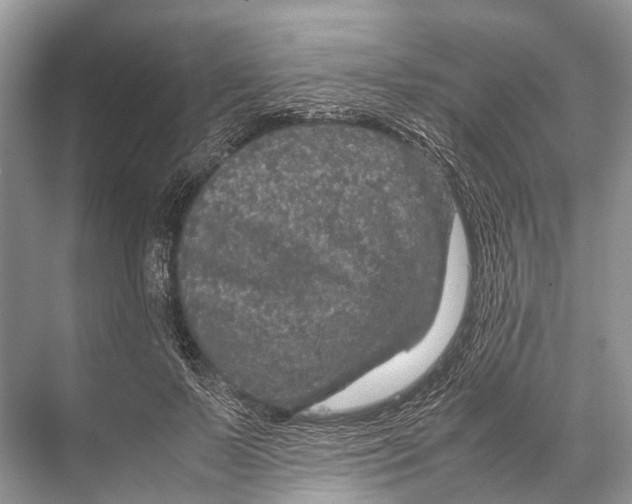 X0000067850695200605041716