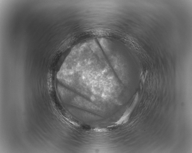 X0000067850696200605041716