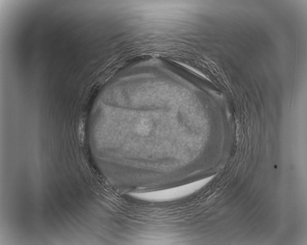 X0000067850697200605041716