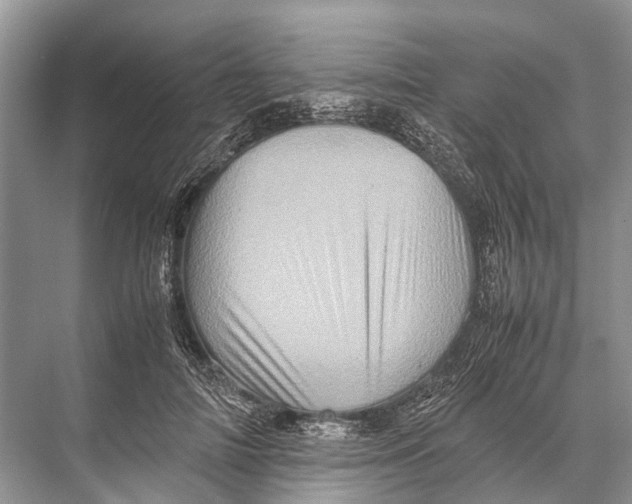 X0000067850698200605041716