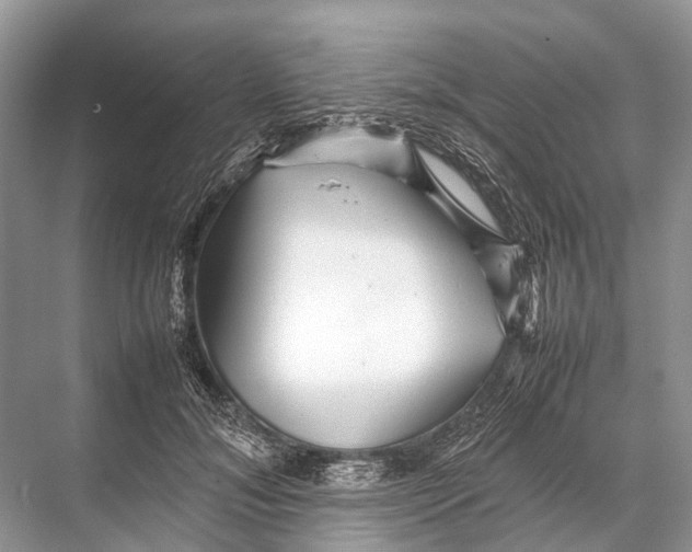 X0000067850700200605041715