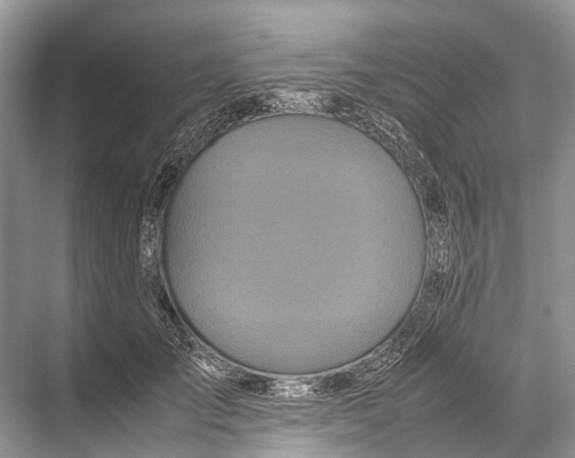 X0000067850701200605041715