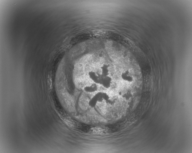 X0000067850703200605041715