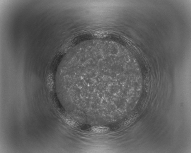 X0000067850707200605041715