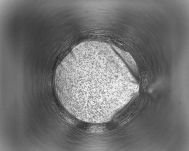 X0000067850708200605041715