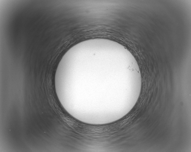 X0000067850709200605041715