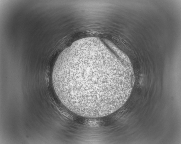 X0000067850710200605041715