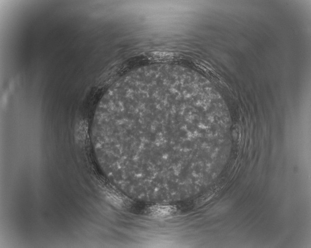 X0000067850711200605041715