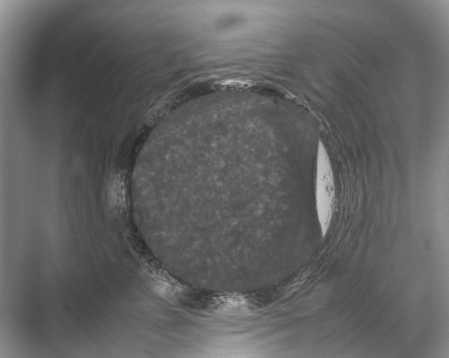 X0000067850715200605041715