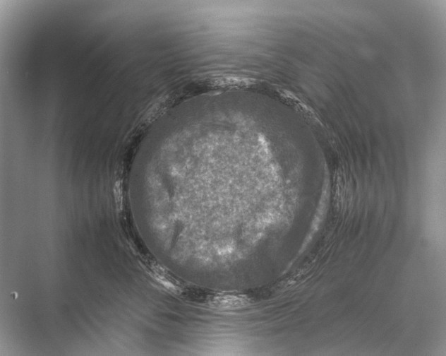 X0000067850716200605041715