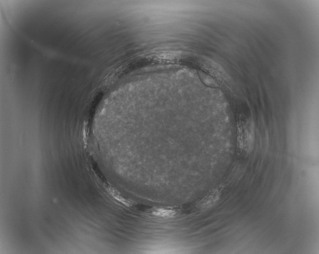 X0000067850718200605041715