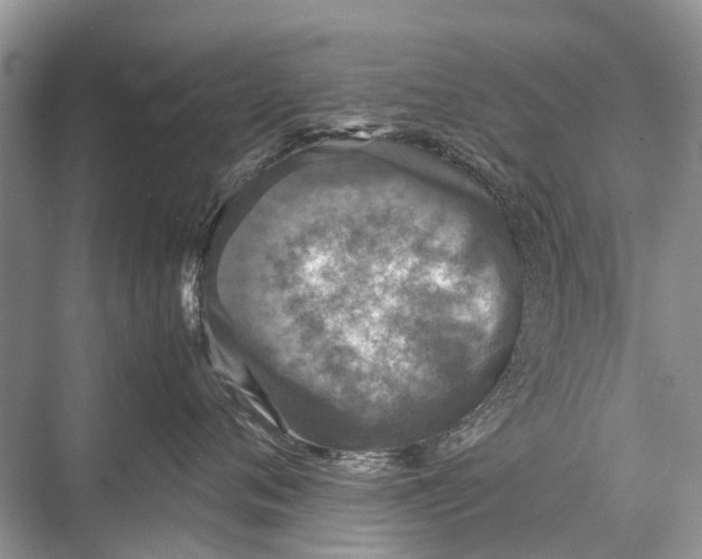 X0000067850720200605041715