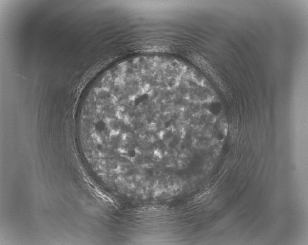 X0000067850721200605041714