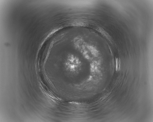 X0000067850723200605041714