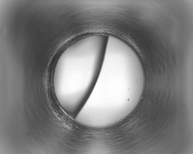 X0000067850724200605041714