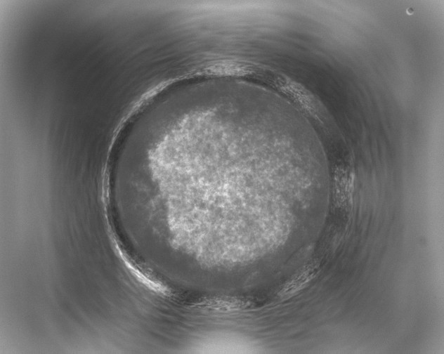 X0000067850726200605041714